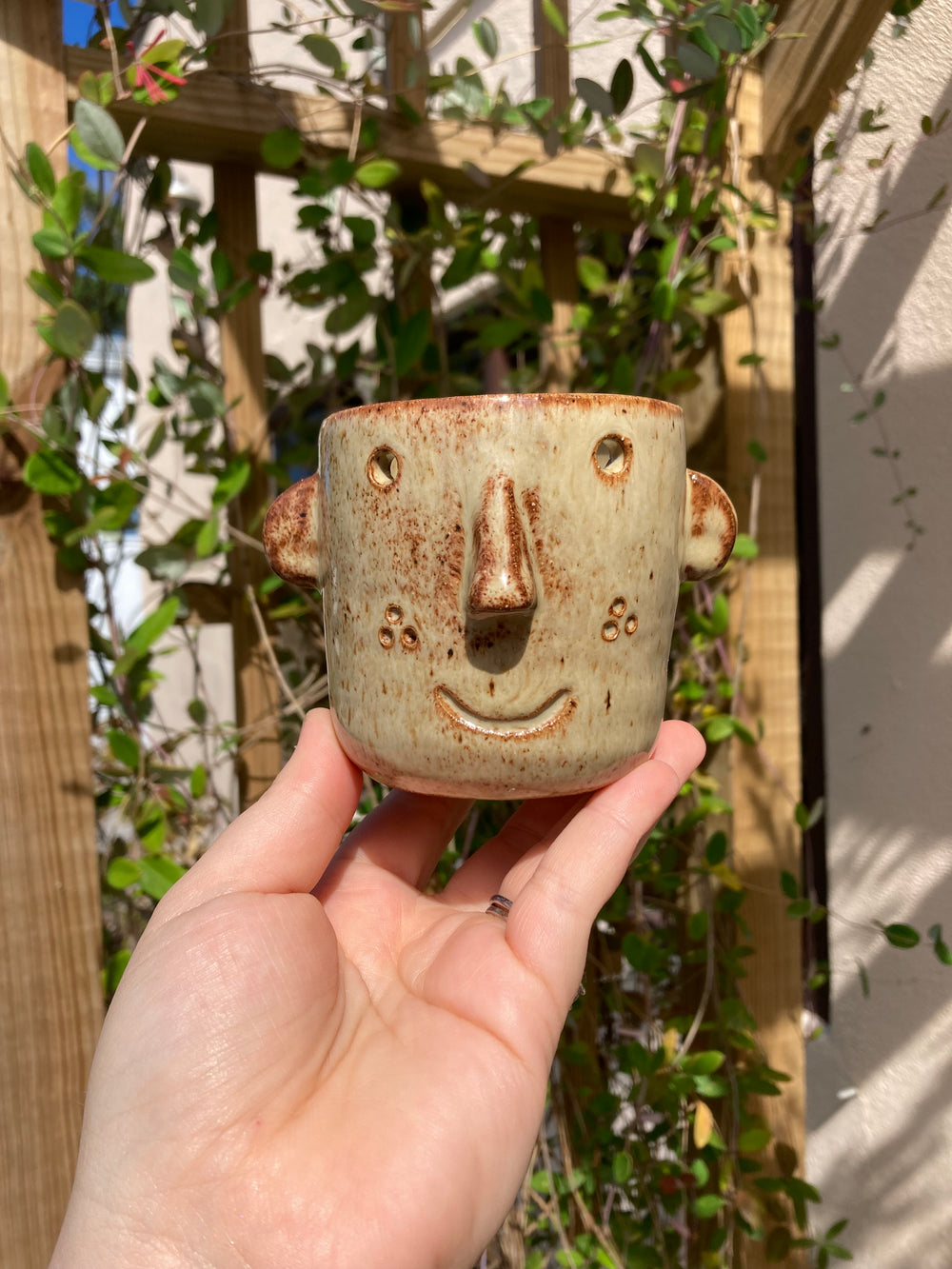 Flower Pot Faces w/ Emily | Tuesday November 4 | 5pm - 8pm