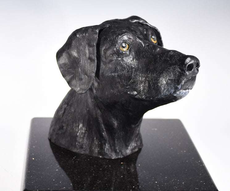 Sculpting Your Favorite Animal w/ Eduardo Gomez | Begins Saturday March 21 | 9am - 12pm