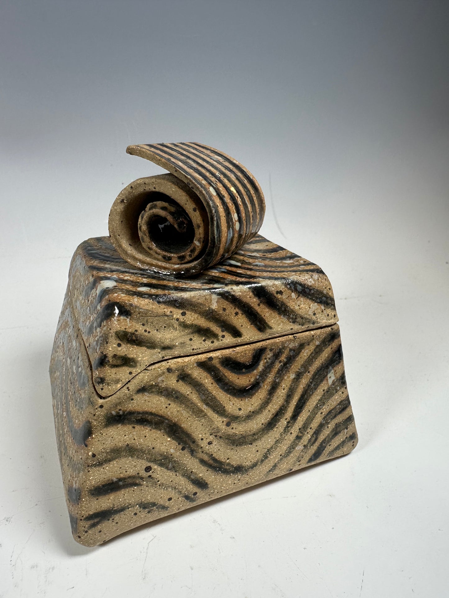 
                  
                    Spirals
                  
                